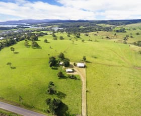Rural / Farming commercial property sold at 4240 Gillies Range Road Yungaburra QLD 4884