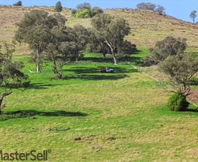 Rural / Farming commercial property for sale at 254 Punch Street Gundagai NSW 2722