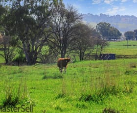 Rural / Farming commercial property for sale at 254 Punch Street Gundagai NSW 2722
