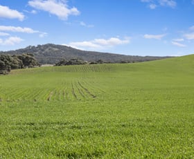 Rural / Farming commercial property sold at 'Gum View Hills' Gorge Road Pekina SA 5431
