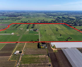 Rural / Farming commercial property sold at 1125 Byrneside-Kyabram Road Merrigum VIC 3618