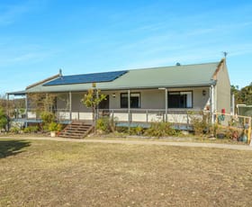 Rural / Farming commercial property sold at 302 Albatross Road Nowra Hill NSW 2540