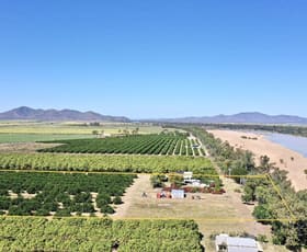 Rural / Farming commercial property sold at 2574 Kirknie Road Kirknie QLD 4806