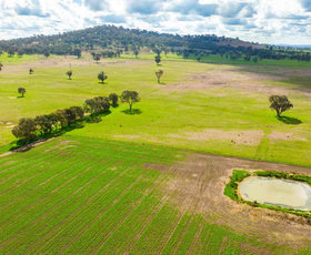 Rural / Farming commercial property sold at 'Bethel'/409 Bethel Road Burrumbuttock NSW 2642