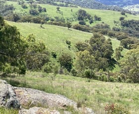 Rural / Farming commercial property sold at 1861 Pembroke Road Cassilis NSW 2329
