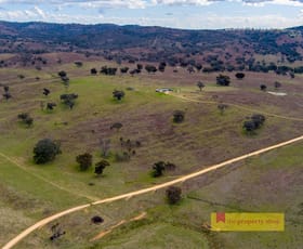 Rural / Farming commercial property for sale at Tara QLD 4421