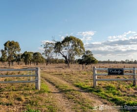 Rural / Farming commercial property sold at 29/ Dalrymple Creek Road Talgai QLD 4362