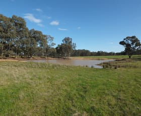 Rural / Farming commercial property sold at 1 & 158 Apple Jack Road Dunolly VIC 3472