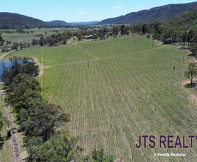 Rural / Farming commercial property for sale at 2040 Golden Highway Sandy Hollow NSW 2333