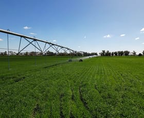 Rural / Farming commercial property sold at 213 Grain Valley Road Gunnedah NSW 2380