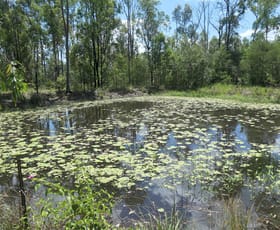 Rural / Farming commercial property for sale at 159 Hunters Road Ewingar NSW 2469