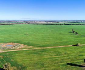 Rural / Farming commercial property sold at Omagh View 1667 Alagala Road Tullamore NSW 2874