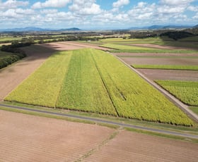 Rural / Farming commercial property for sale at 82/ Farleigh-Dumbleton Road Dumbleton QLD 4740