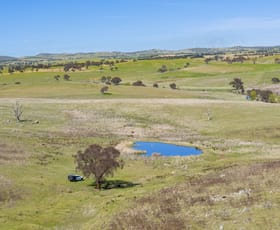 Rural / Farming commercial property for sale at "Riverview" Brial Road Boorowa NSW 2586
