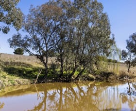 Rural / Farming commercial property for sale at "Riverview" Brial Road Boorowa NSW 2586