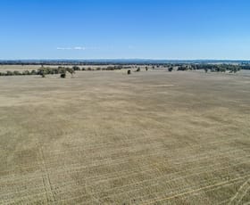 Rural / Farming commercial property sold at 90R Mogriguy Road Brocklehurst NSW 2830