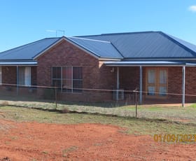 Rural / Farming commercial property for sale at Maryantha East 566 Kidman Way Cobar NSW 2835