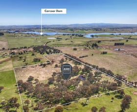 Rural / Farming commercial property sold at 549 Mallowgrove Road Blayney NSW 2799