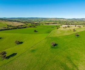 Rural / Farming commercial property for sale at 1368 Kangaroo Flat Road Woodstock NSW 2793