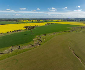 Rural / Farming commercial property for sale at 'Ingaladdie' 101 Piney Range Hall Road Piney Range NSW 2810