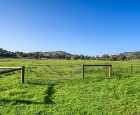 Rural / Farming commercial property sold at 175 Balmattum Road Violet Town VIC 3669