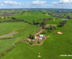 Rural / Farming commercial property for sale at 228 King Spring Road Thomson Brook WA 6239