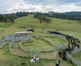 Rural / Farming commercial property for sale at 276 Farm Road Bonalbo NSW 2469