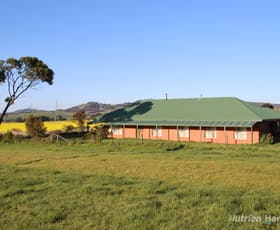 Rural / Farming commercial property sold at Lot 6/1012 Beaufort-Waubra Road Waubra VIC 3352