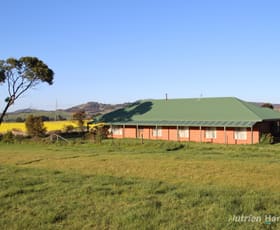 Rural / Farming commercial property sold at Lot 6/1012 Beaufort-Waubra Road Waubra VIC 3352
