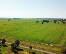 Rural / Farming commercial property sold at Pine Grove Road Berrigan NSW 2712