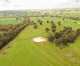 Rural / Farming commercial property sold at 7369 & 7382 Boyup Brook-Kojonup Road Scotts Brook WA 6244