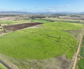Rural / Farming commercial property sold at Wilson Dartbrook Rd Aberdeen NSW 2336