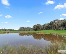 Rural / Farming commercial property for sale at Lots 1-3, PS 814359P Duells Lane Glenaroua VIC 3764