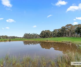 Rural / Farming commercial property sold at Lot 1, PS 814359P Duells Lane Glenaroua VIC 3764