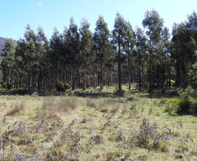 Rural / Farming commercial property for sale at 2140066, 2140066 Hop Valley Road Blackwood Creek TAS 7301