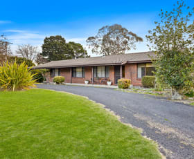 Rural / Farming commercial property for sale at 233 Brays Lane Wallerawang NSW 2845