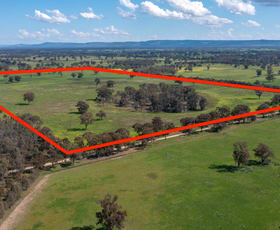 Rural / Farming commercial property for sale at Lot 2 Boland Road Boorhaman VIC 3678