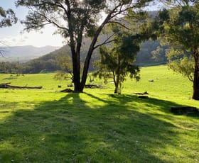 Rural / Farming commercial property for sale at . Gap Flat Road Allans Flat VIC 3691