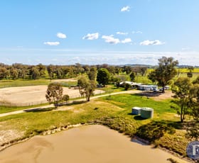 Rural / Farming commercial property leased at 159 Old Wallendbeen Road Stockinbingal NSW 2725