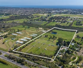 Rural / Farming commercial property for sale at 800 Moorooduc Highway Mornington VIC 3931