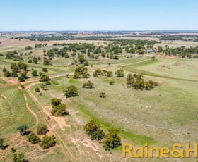 Rural / Farming commercial property for sale at 12094 Mitchell Highway "Kirribilli" Nevertire NSW 2826