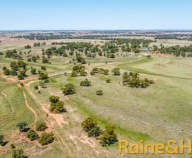 Rural / Farming commercial property sold at 12094 Mitchell Highway "Kirribilli" Nevertire NSW 2826