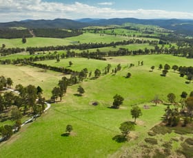 Rural / Farming commercial property sold at 9 Mackiesons Road Buchan South VIC 3885