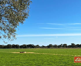 Rural / Farming commercial property for sale at 982 Calivil Mail Road Calivil VIC 3573