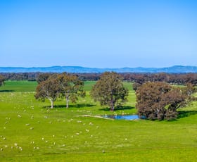 Rural / Farming commercial property for sale at 1350 Geodetic Road Euroa VIC 3666