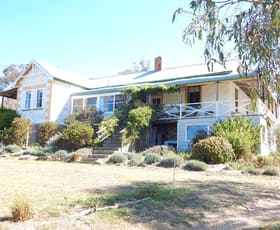 Rural / Farming commercial property sold at 311 Beresford Road Numeralla NSW 2630