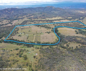 Rural / Farming commercial property for sale at 49 Sawyers Gully Road Tenterfield NSW 2372