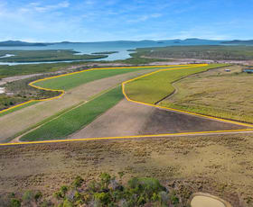 Rural / Farming commercial property sold at Lot 483 Mathers Creek Road Mount Ossa QLD 4741