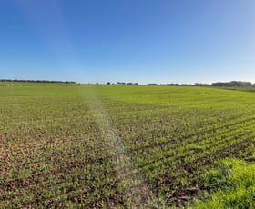 Rural / Farming commercial property sold at FARM 5007 “DANCORD” Coleambally NSW 2707