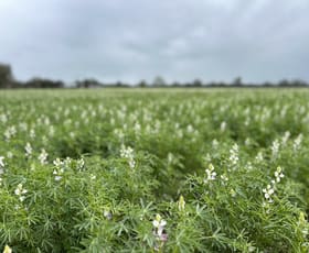 Rural / Farming commercial property sold at 210 Butterworths Rd Benayeo VIC 3319